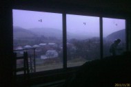 IMAG0083.jpg